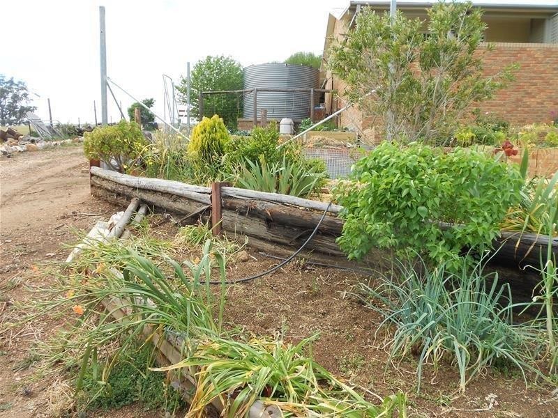 487 Mount McDonald Road, Cowra NSW 2794