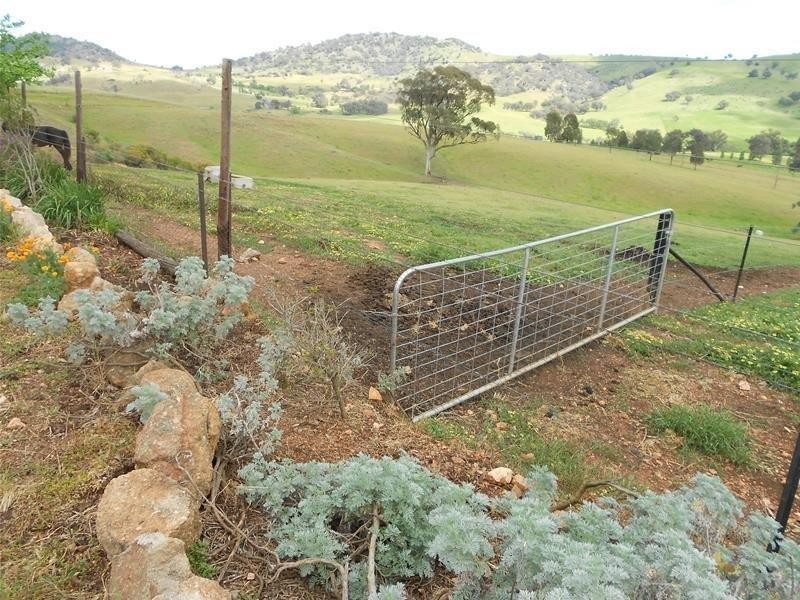 487 Mount McDonald Road, Cowra NSW 2794