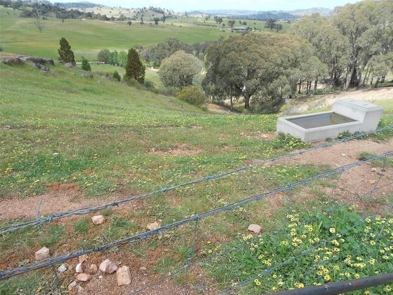 487 Mount McDonald Road, Cowra NSW 2794