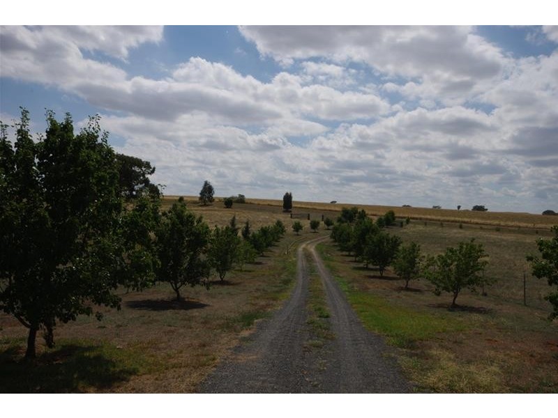 327 Elouera Road, Cowra NSW 2794