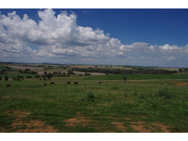 4 Binni Creek Road, Cowra NSW 2794