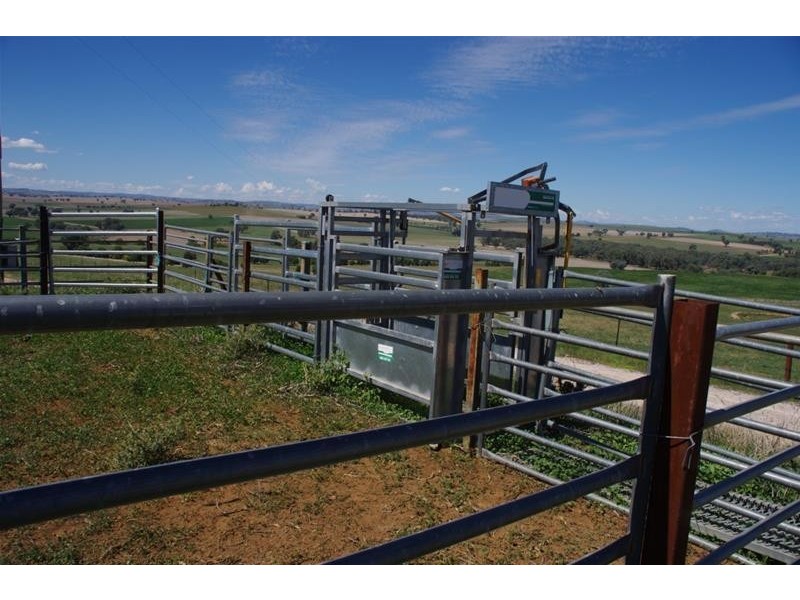 4 Binni Creek Road, Cowra NSW 2794