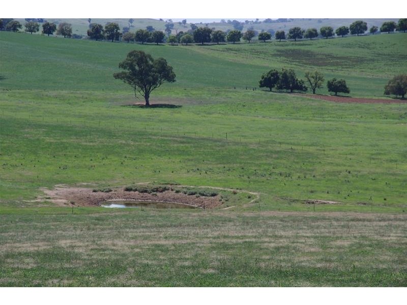 4 Binni Creek Road, Cowra NSW 2794