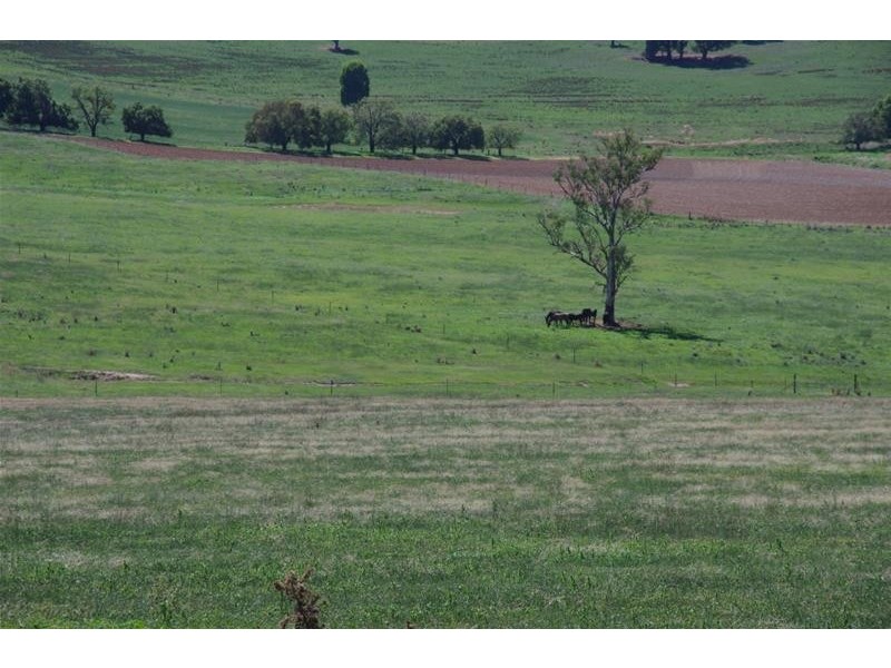 4 Binni Creek Road, Cowra NSW 2794