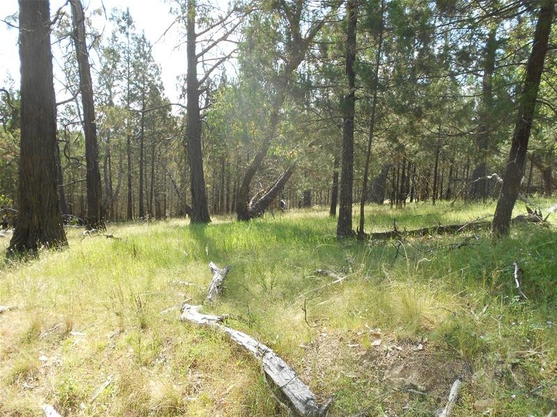 Lot/24 Cobb Drive, Woodstock NSW 2538