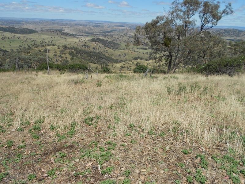 102 Blue Mantle Road, Wyangala NSW 2808