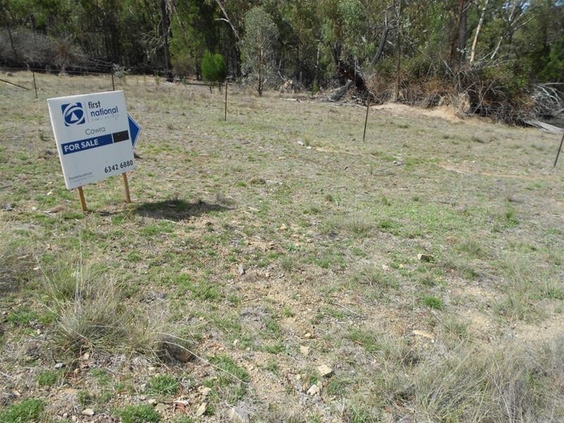 42 Cobb Drive, Woodstock NSW 2793