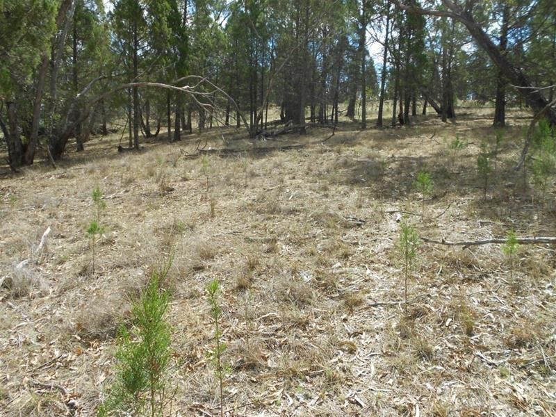 42 Cobb Drive, Woodstock NSW 2793