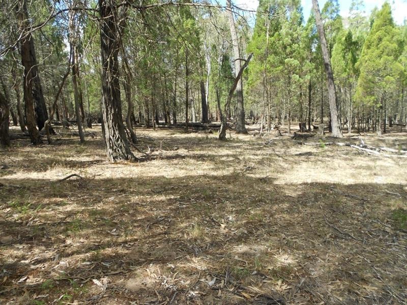 42 Cobb Drive, Woodstock NSW 2793