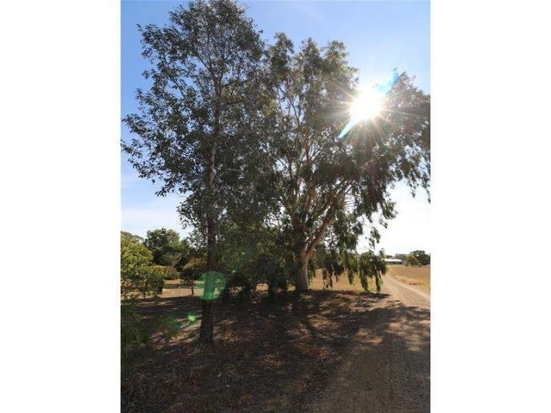 188 Paytens Lane, Cowra NSW 2794