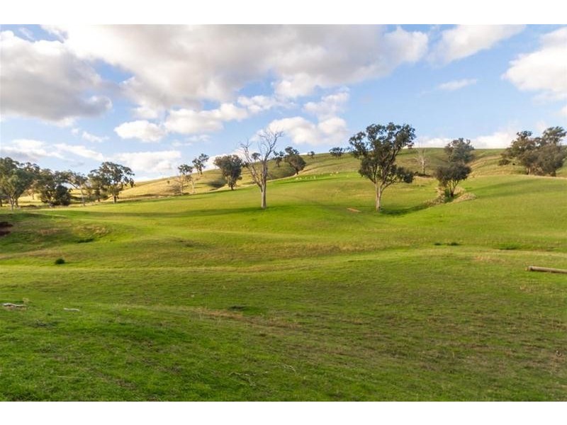 188 Paytens Lane, Cowra NSW 2794