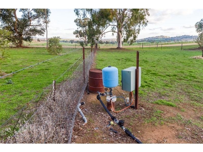 188 Paytens Lane, Cowra NSW 2794