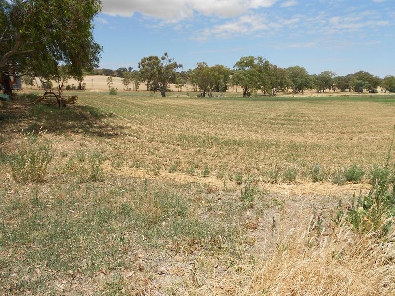 30 Goodacre Drive, Woodstock NSW 2793