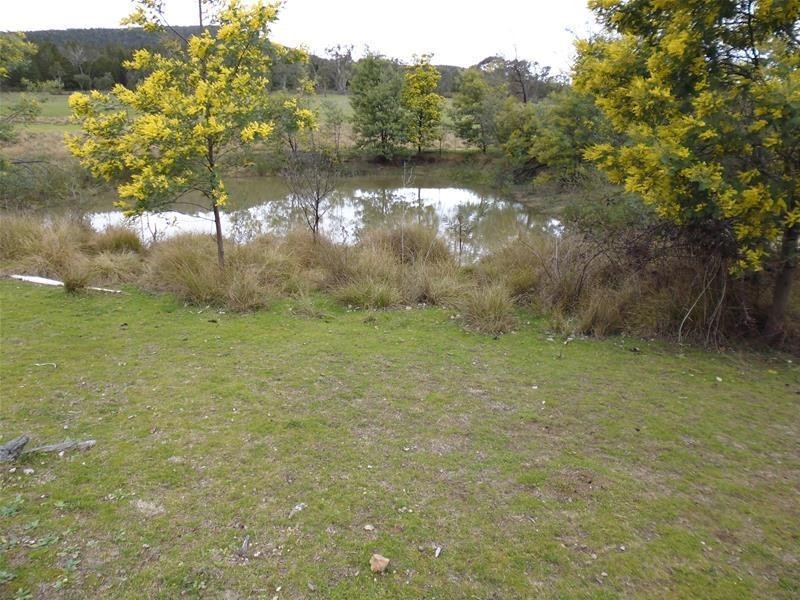 1687 Kangarooby Road, Gooloogong NSW 2805