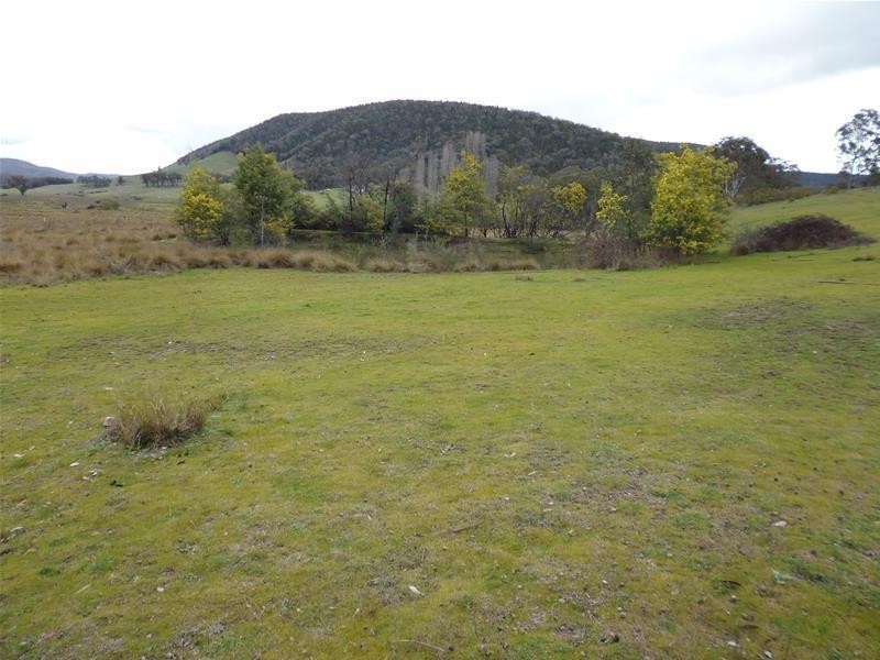 1687 Kangarooby Road, Gooloogong NSW 2805