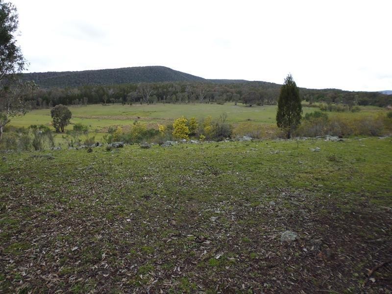 1687 Kangarooby Road, Gooloogong NSW 2805