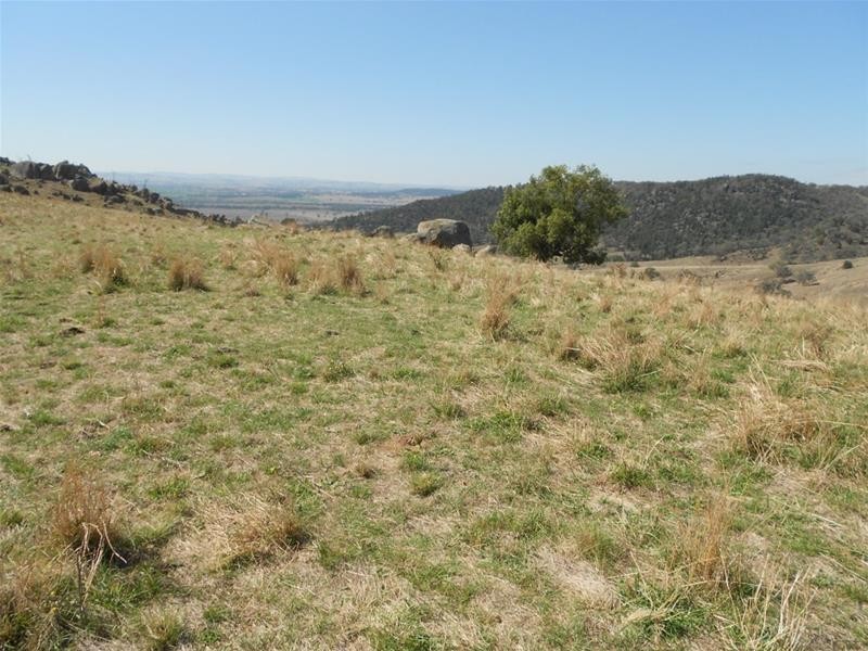 Gee Lane, Cowra NSW 2794