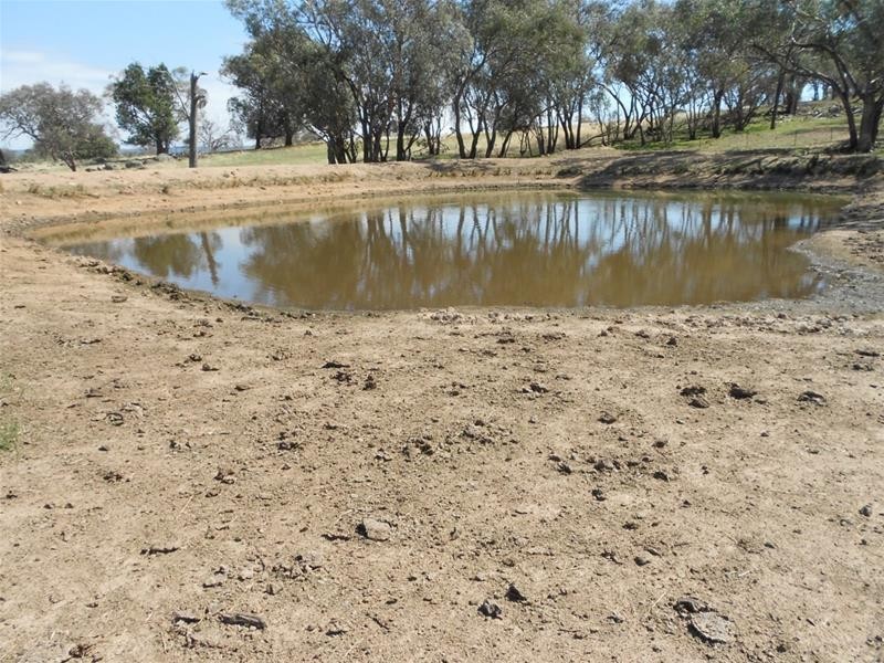 Gee Lane, Cowra NSW 2794