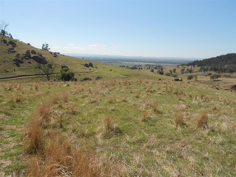 Gee Lane, Cowra NSW 2794