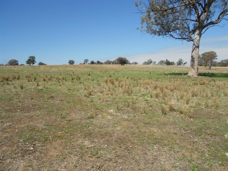 Gee Lane, Cowra NSW 2794