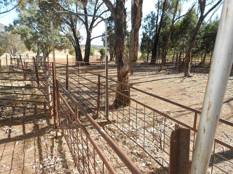 Gee Lane, Cowra NSW 2794