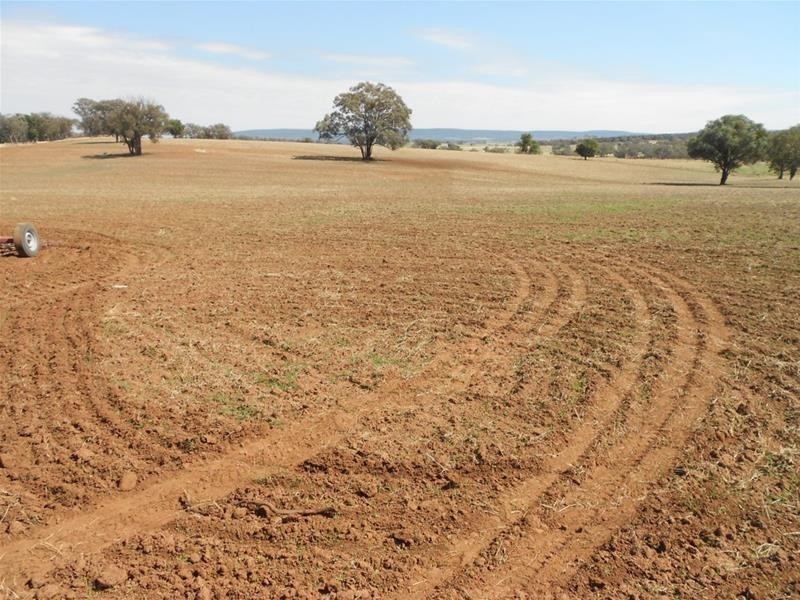 Gee Lane, Cowra NSW 2794