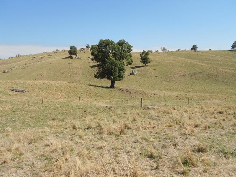 Gee Lane, Cowra NSW 2794