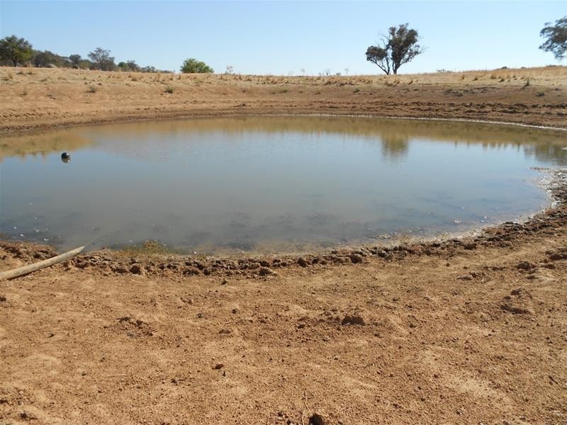 Gee Lane, Cowra NSW 2794