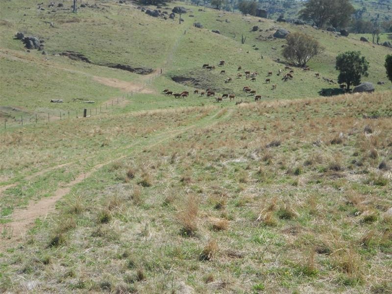 Gee Lane, Cowra NSW 2794