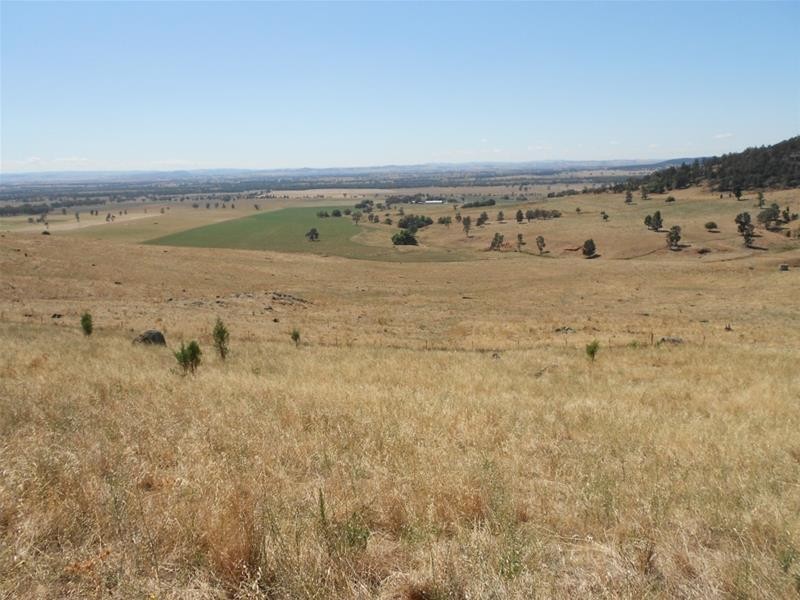 Gee Lane, Cowra NSW 2794