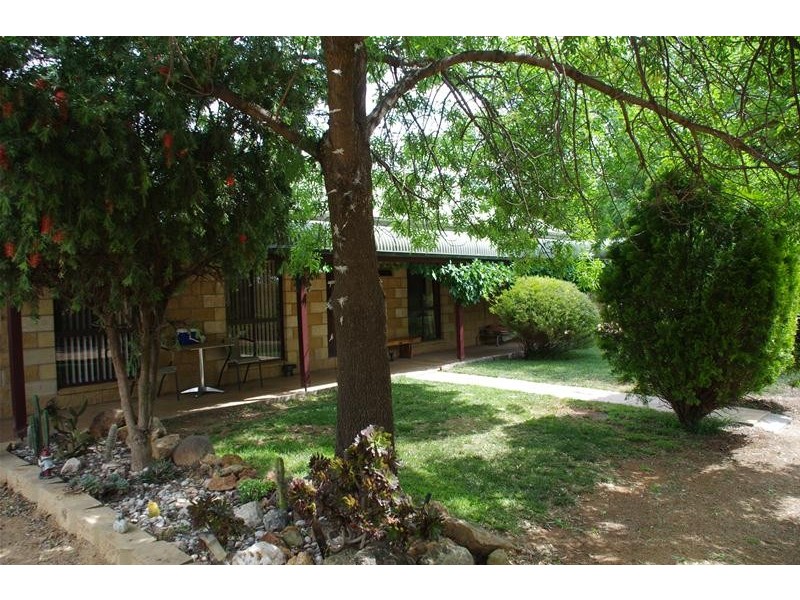 351 Porters Mount Road, Cowra NSW 2794