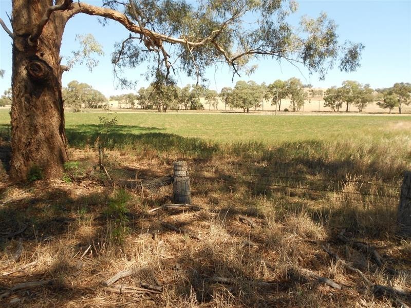 52 Goodacre Drive, Woodstock NSW 2793