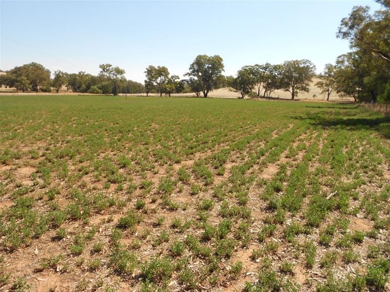 52 Goodacre Drive, Woodstock NSW 2793