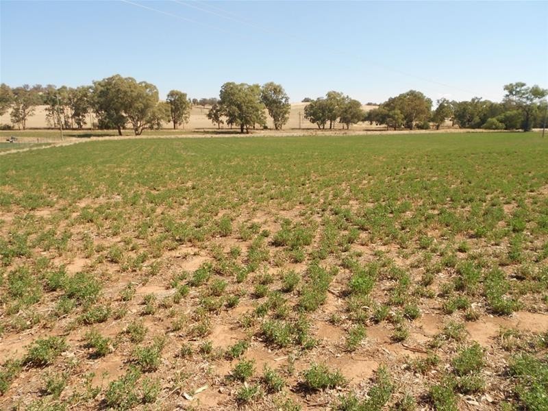 52 Goodacre Drive, Woodstock NSW 2793