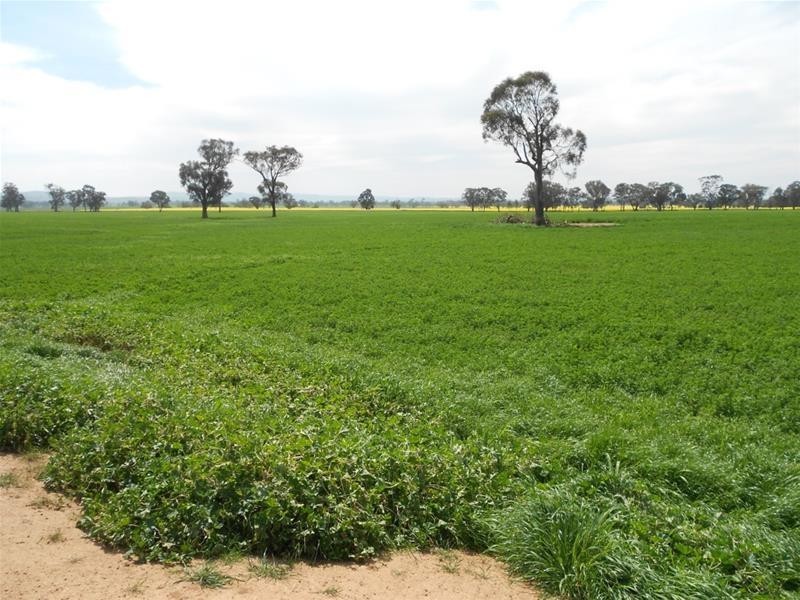 Waterview Road, Gooloogong NSW 2805