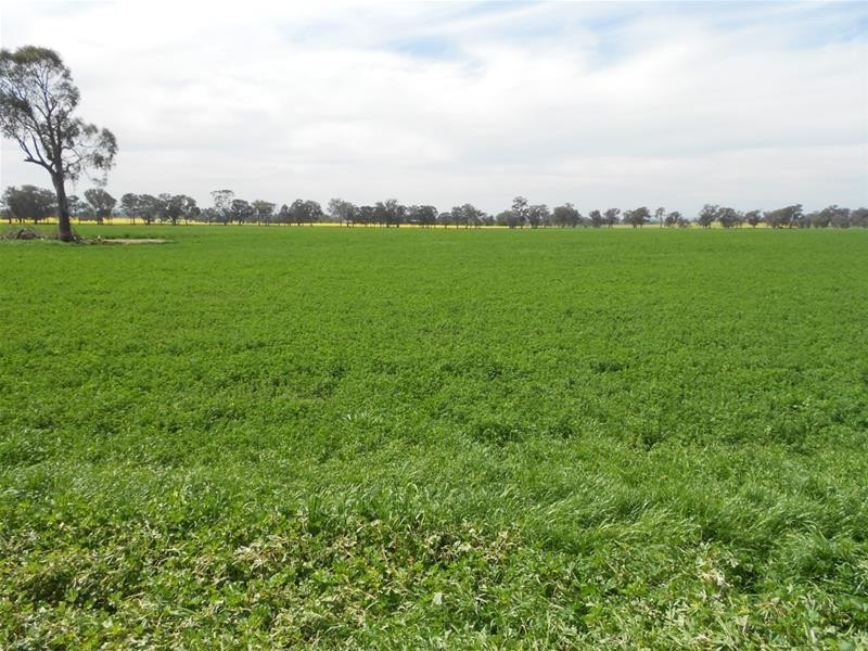 Waterview Road, Gooloogong NSW 2805