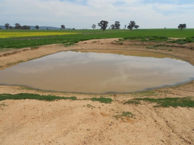 Waterview Road, Gooloogong NSW 2805