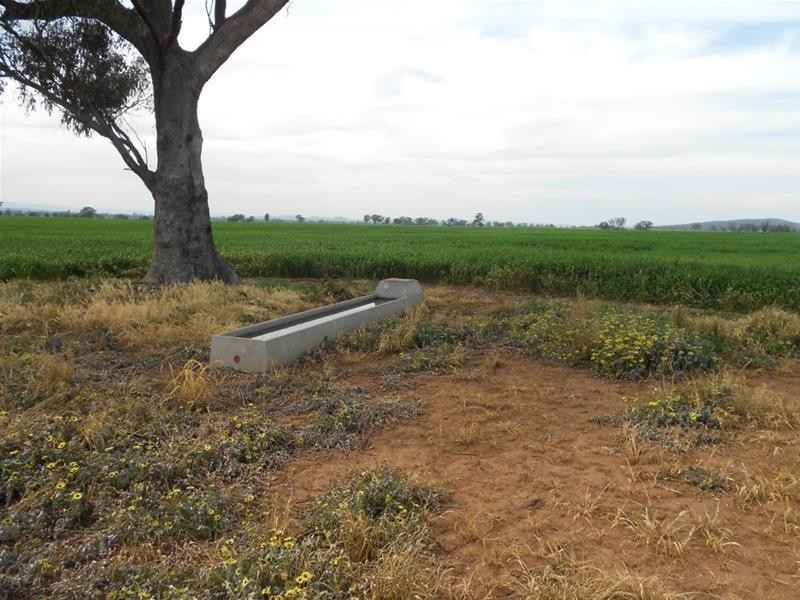 Waterview Road, Gooloogong NSW 2805