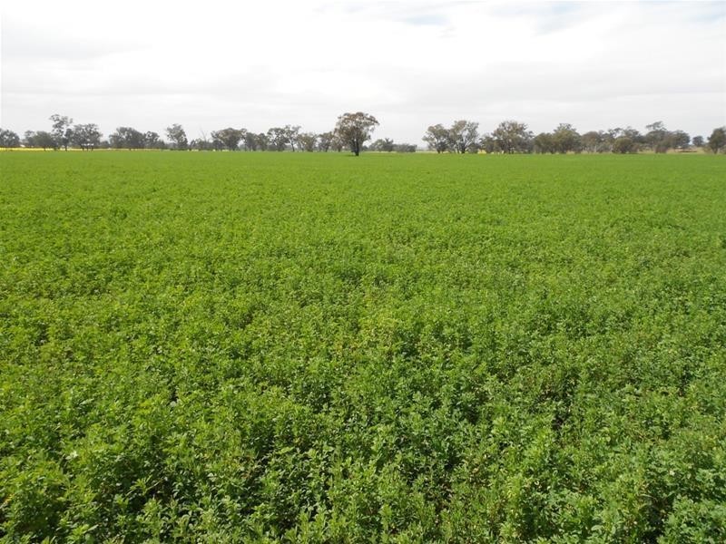 Waterview Road, Gooloogong NSW 2805