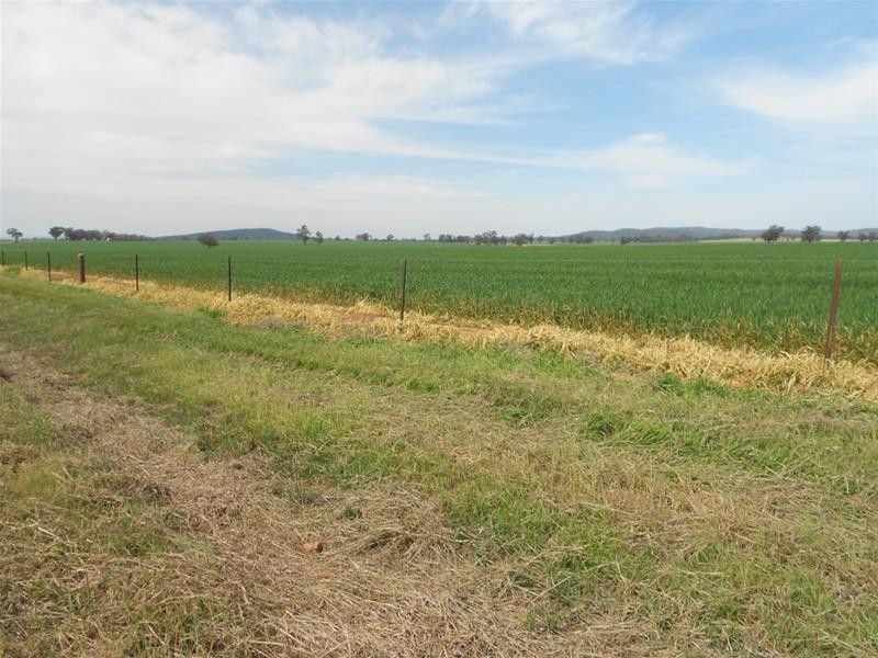 Waterview Road, Gooloogong NSW 2805