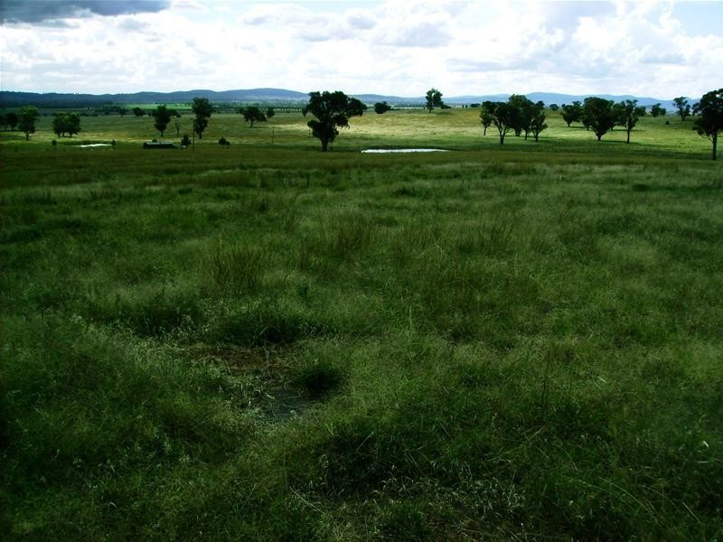 84 Cultowa Lane, Billimari NSW 2804