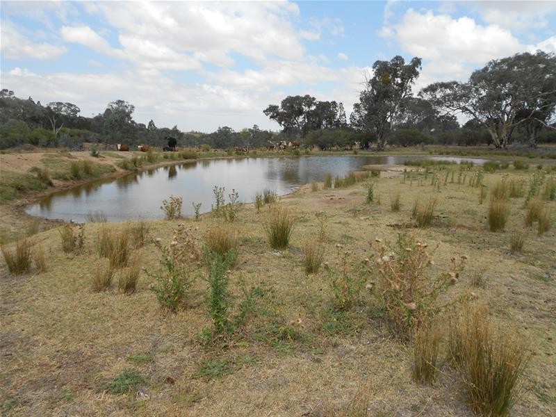 47 Major West Road, Cowra NSW 2794