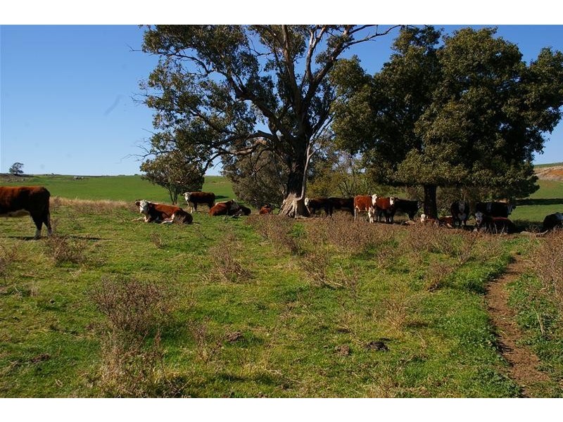 Lot 4/ Canowindra Road, Cowra NSW 2794