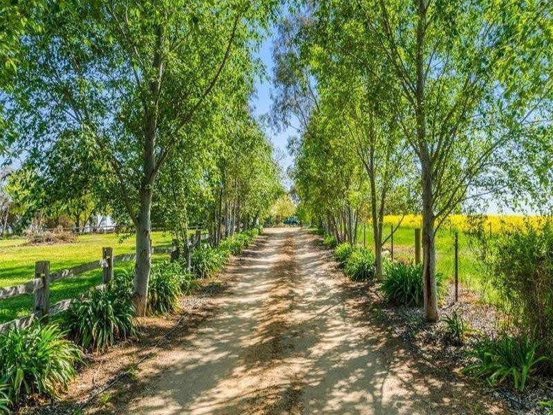 42 Chardonnay Road, Cowra NSW 2794