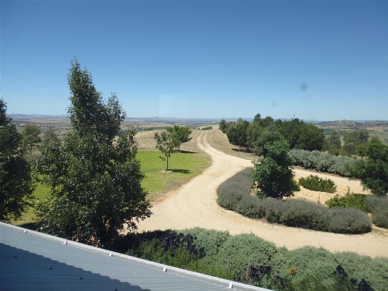 174 Paytens Road, Cowra NSW 2794