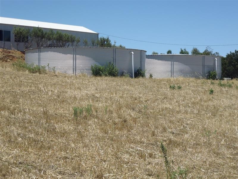 174 Paytens Road, Cowra NSW 2794