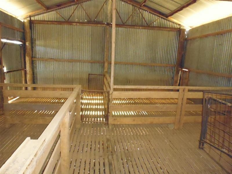 174 Paytens Road, Cowra NSW 2794