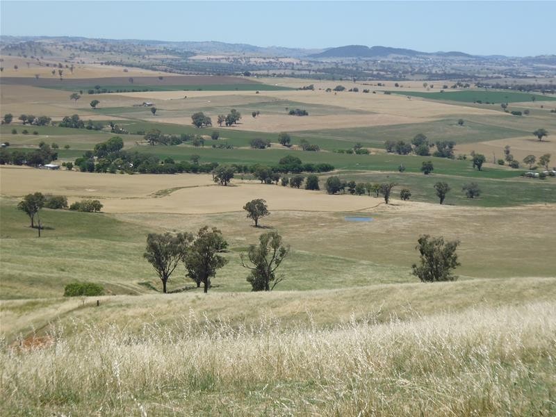 174 Paytens Road, Cowra NSW 2794