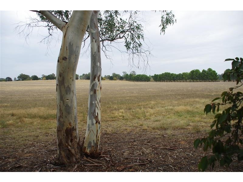 Lot 15, 15 River Park Road, Cowra NSW 2794