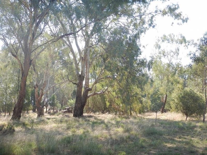 1 Illunie Street, “Old School House”, Cowra NSW 2794